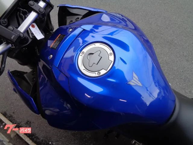 Yamaha MT-25 2022 — миниатюра 4