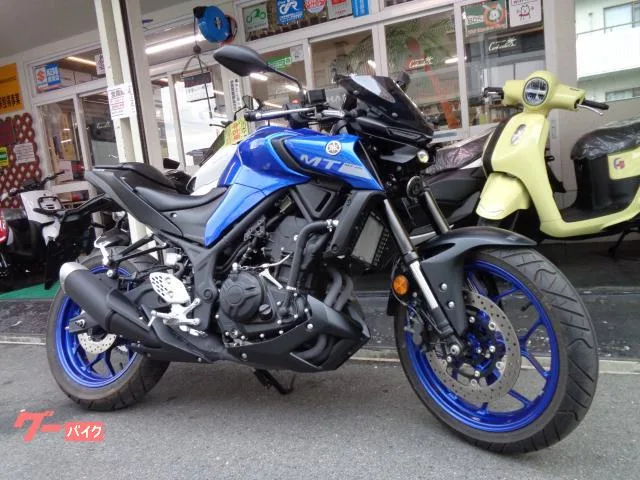 Yamaha MT-25 2022 — фото 1, купить с доставкой в Москву
