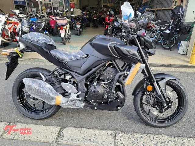 Yamaha MT-03(320cc) 2023 — фото 1, купить с доставкой в Москву