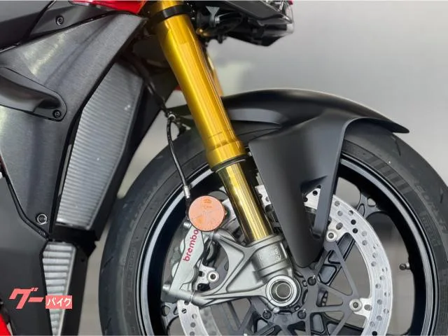 DUCATI V4S 2025 — миниатюра 4