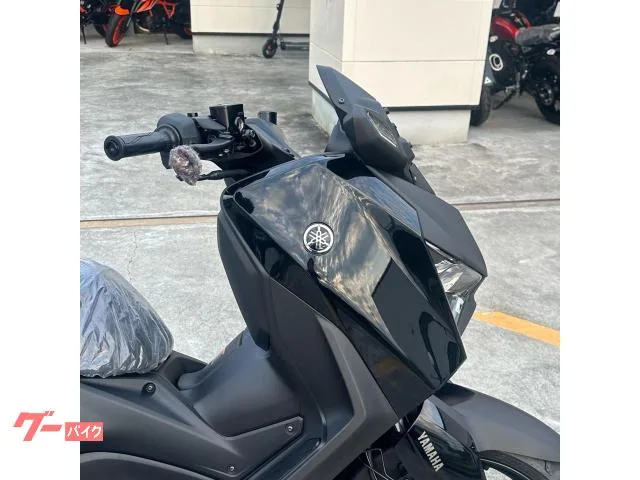 Yamaha X-MAX250 2024 2024 — миниатюра 2
