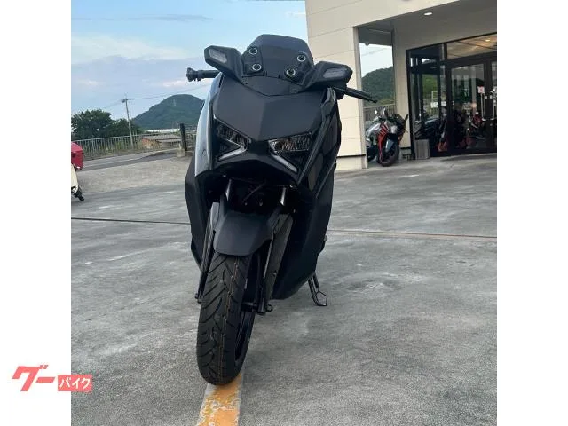 Yamaha X-MAX250 2024 2024 — миниатюра 3