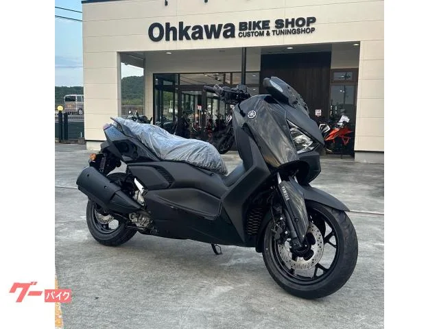 Yamaha X-MAX250 2024 2024 — фото 1, купить с доставкой в Москву