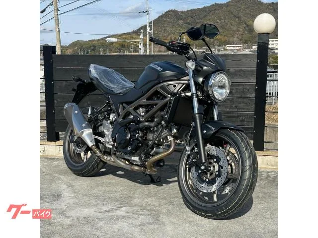 Suzuki SV650 2025 2025 — фото 1, купить с доставкой в Москву