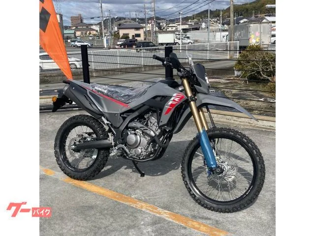 Honda CRF250L 2025 2025 — фото 1, купить с доставкой в Москву