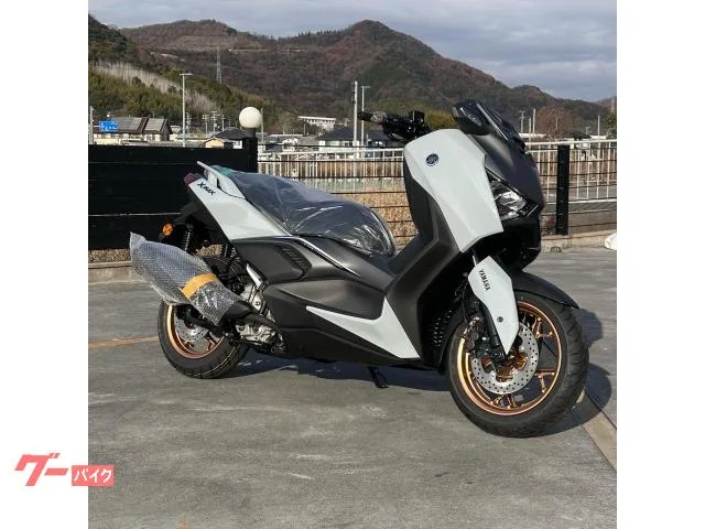 Yamaha X-MAX250 2025 2025 — фото 1, купить с доставкой в Москву