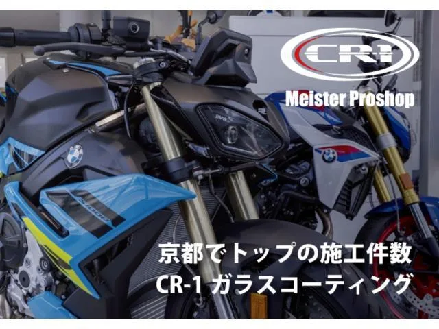 BMW R1300GS /MT 2026 — миниатюра 4