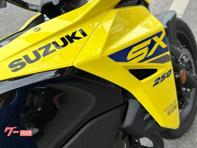 Suzuki V- 250SX M5 2025 — миниатюра 4