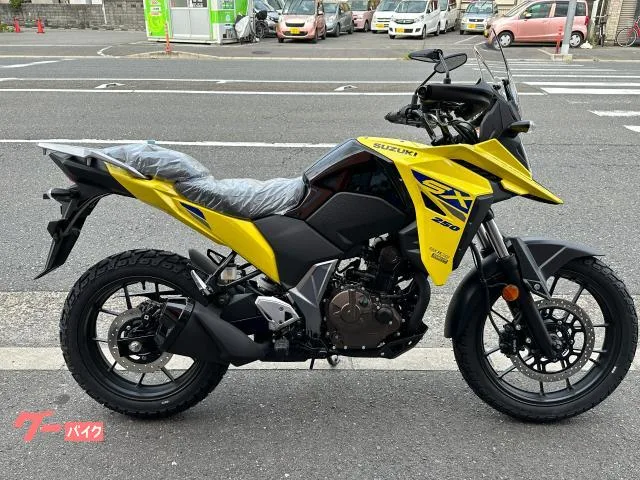 Suzuki V- 250SX M5 2025 — фото 1, купить с доставкой в Москву