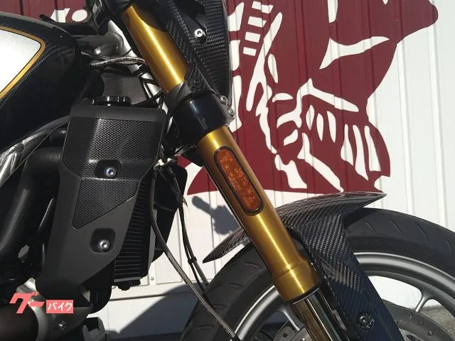 INDIAN FTR1200 R MY2024 2024 — миниатюра 3