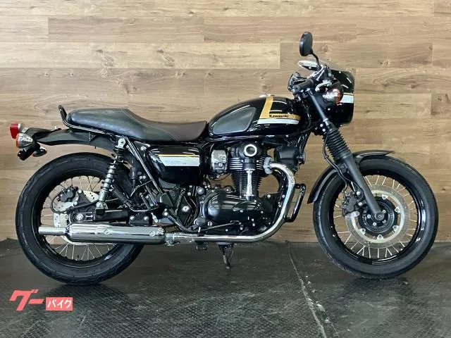 Kawasaki W800 ETC/ 2022 — миниатюра 3