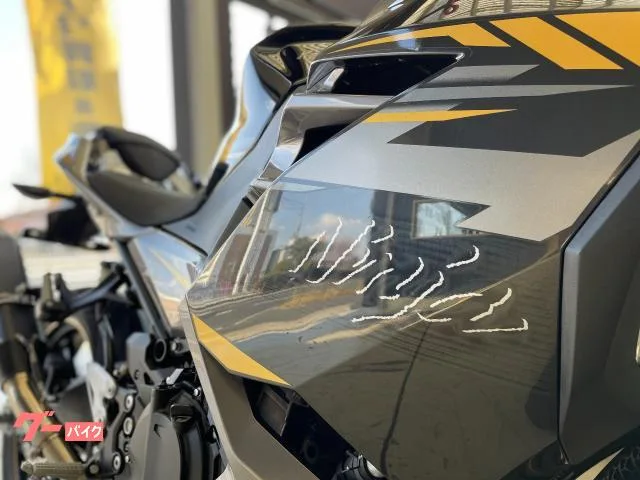Kawasaki Ninja 400 ETC 2022 — миниатюра 3