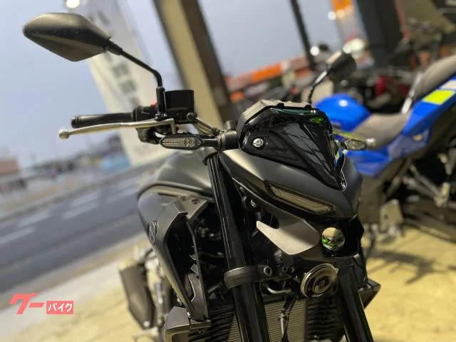 Yamaha MT-25 RG74J 2024 — миниатюра 2