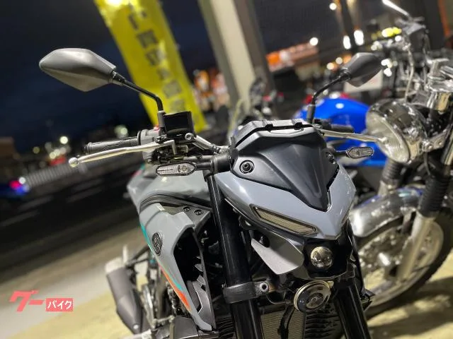 Yamaha MT-25 RG74J 2022 — миниатюра 2