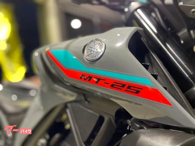 Yamaha MT-25 RG74J 2022 — миниатюра 3