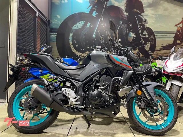 Yamaha MT-25 RG74J 2022 — фото 1, купить с доставкой в Москву