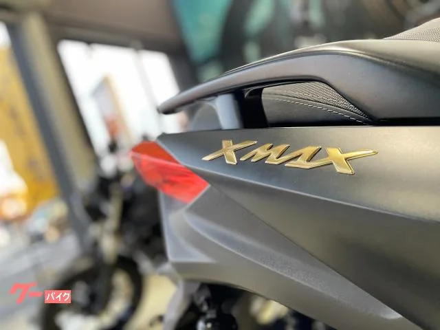 Yamaha X-MAX250 2022 — миниатюра 3