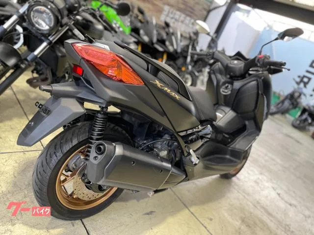 Yamaha X-MAX250 2022 — миниатюра 4