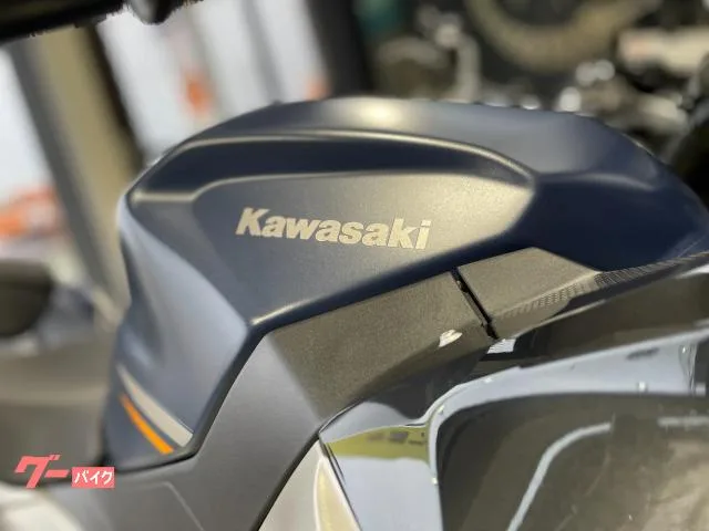 Kawasaki Ninja 250 2023 — миниатюра 3