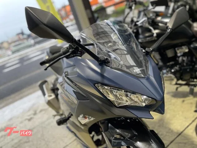 Kawasaki Ninja 250 2023 — миниатюра 5