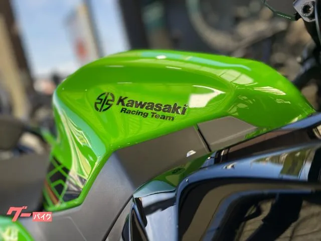 Kawasaki Ninja 400 KRT 2023 — миниатюра 3