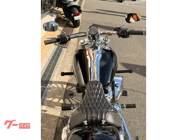 HARLEY-DAVIDSON FXBR 2025 — миниатюра 2