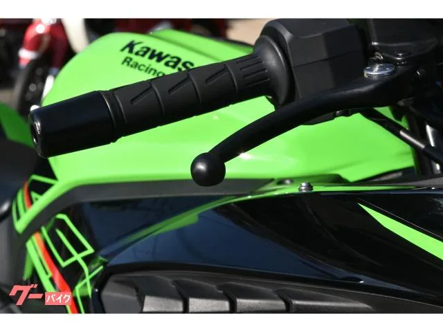 Kawasaki Ninja ZX-4RR KRT EDITION 2024 — миниатюра 3