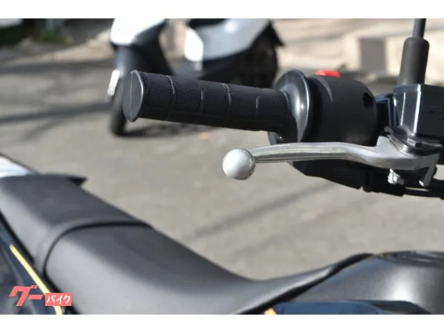 Kawasaki KLX230SM 2022 — миниатюра 3