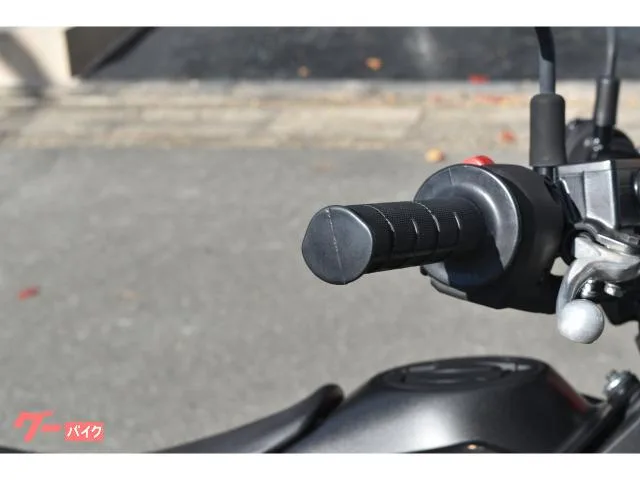 Kawasaki KLX230SM 2022 — миниатюра 4