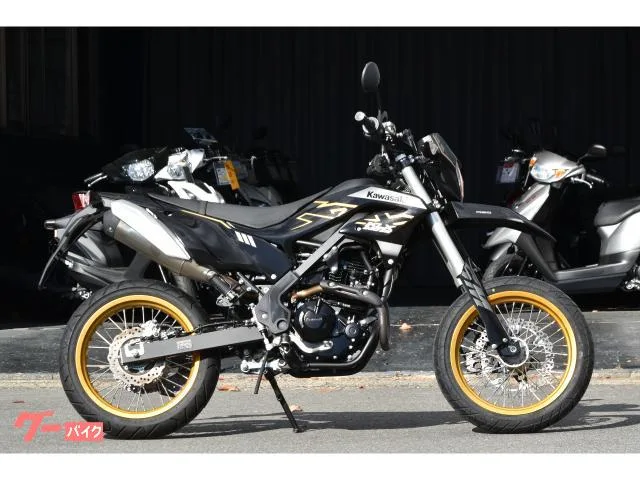 Kawasaki KLX230SM 2022 — фото 1, купить с доставкой в Москву