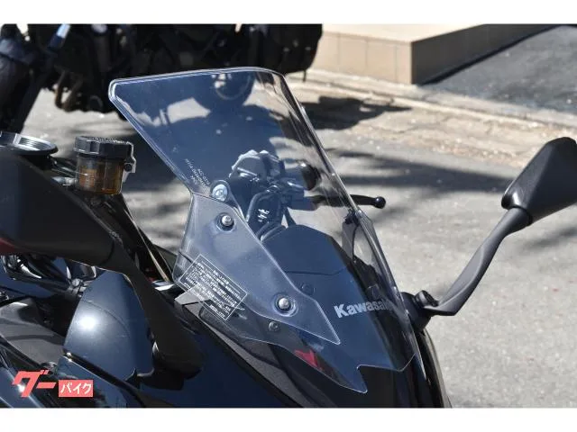 Kawasaki Ninja 1000 SX 40th Anniversary Edition 2024 — миниатюра 2