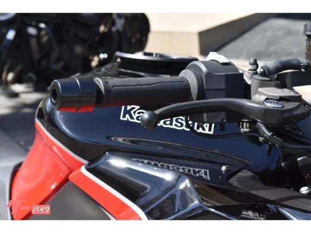 Kawasaki Ninja 1000 SX 40th Anniversary Edition 2024 — миниатюра 3