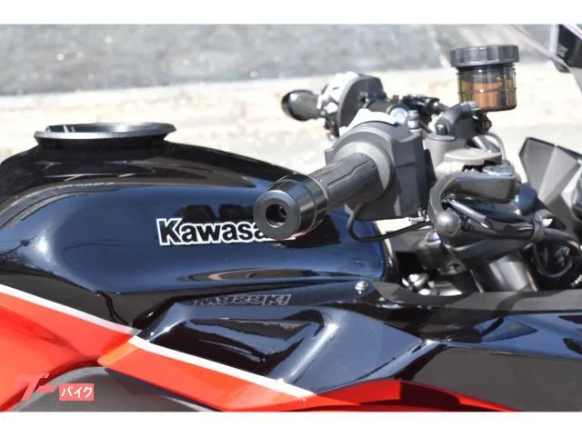 Kawasaki Ninja 1000 SX 40th Anniversary Edition 2024 — миниатюра 4