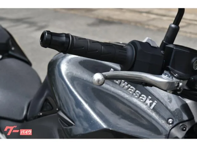 Kawasaki Z900 2026 — миниатюра 3