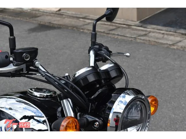 Kawasaki S1 2025 — миниатюра 2