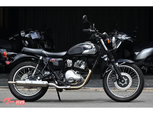 Kawasaki S1 2025 — фото 1, купить с доставкой в Москву