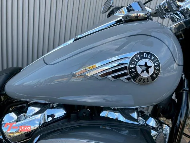 HARLEY-DAVIDSON FLFB 117 2025 — миниатюра 3