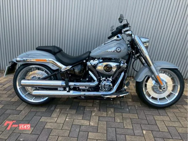 HARLEY-DAVIDSON FLFB 117 2025 — фото 1, купить с доставкой в Москву