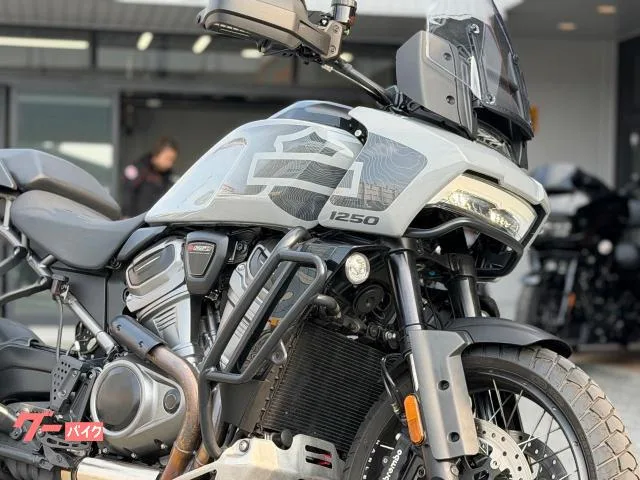 HARLEY-DAVIDSON 1250 ETC 2024 — миниатюра 2