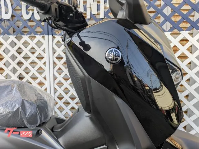 Yamaha X-MAX250 2025 — миниатюра 2