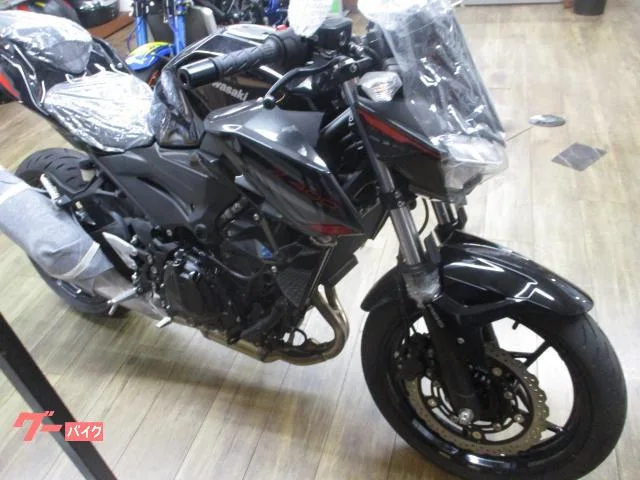 Kawasaki Z400 2024 — миниатюра 2