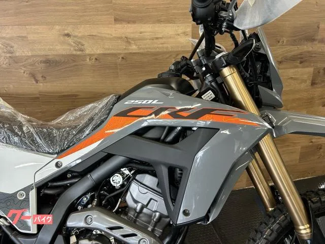Honda CRF250L 2 2024 — миниатюра 2