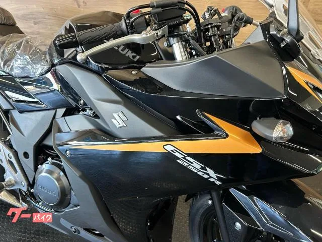 Suzuki GSX250R 2025 — миниатюра 2