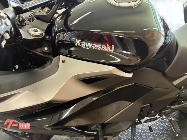 Kawasaki Ninja 1000 SX ETC/ 2024 — миниатюра 2