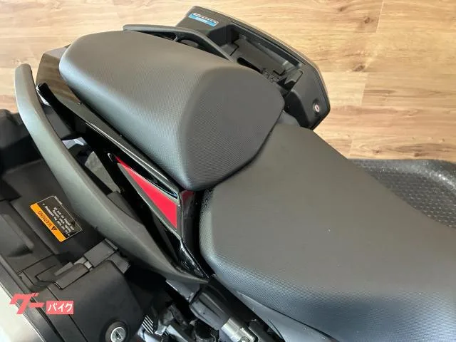 Kawasaki Ninja 1000 SX ETC/ 2024 — миниатюра 3