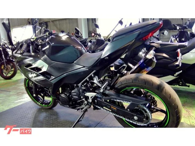 Kawasaki Ninja 250 EX250P ABS 2022 — миниатюра 4