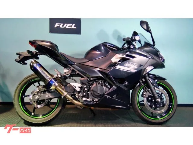 Kawasaki Ninja 250 EX250P ABS 2022 — фото 1, купить с доставкой в Москву