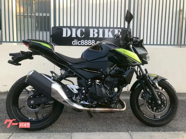 Kawasaki Z250 EX250P ABS USB LED 2022 — фото 1, купить с доставкой в Москву