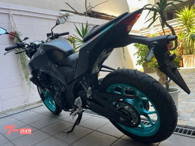 Yamaha MT-25 ETC 2022 2022 — миниатюра 2