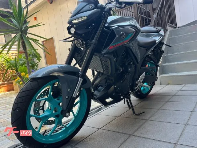 Yamaha MT-25 ETC 2022 2022 — миниатюра 4